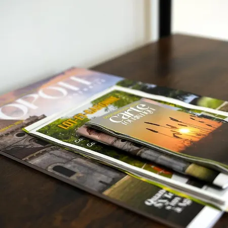 Cosy & Chic- Hyper Centre Appartement *