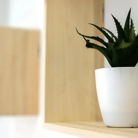 Cosy & Chic- Hyper Centre