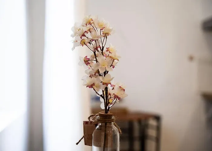 Cosy & Chic- Hyper Centre شقة *